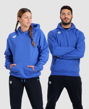 Blue Arena Team Hooded Panel Men's Sweatshirts | 58804327