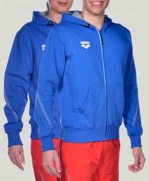 Blue Arena Team Line Hooded Men's Jackets | 92459183