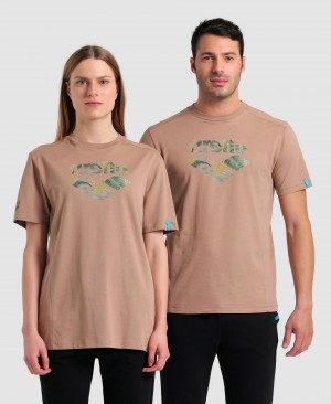 Brown Arena Logo Cotton Men's T Shirts | 95353281