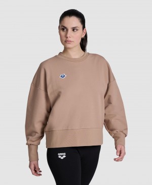 Brown Arena Oversized Crew Neck Women's Sweatshirts | 28008793