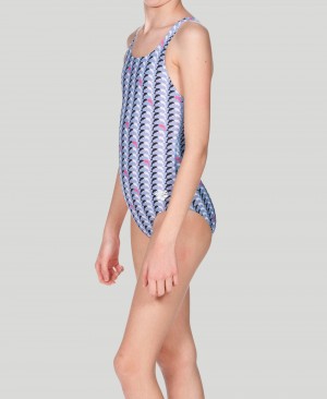 Grey Arena Dolphin Youth Swim Pro Back Girls' Swimsuits | 22590993