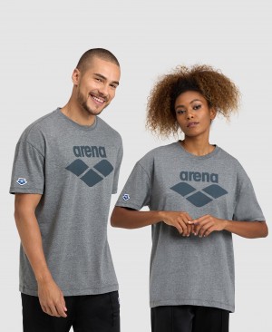 Grey Arena Icons Men's T Shirts | 17292358