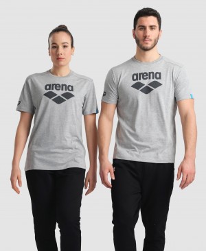 Grey Arena Logo Cotton Men's T Shirts | 45785176