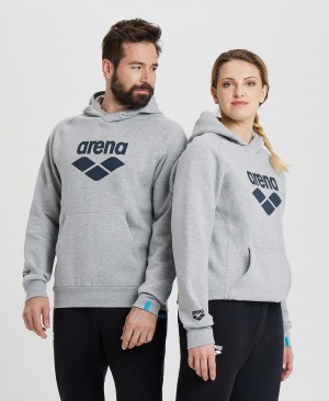 Grey Arena Logo Hooded Men's Sweatshirts | 89806888