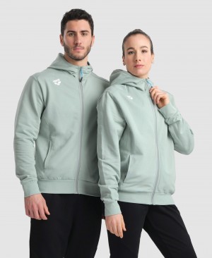 Grey Arena Team Hooded Panel Men's Jackets | 42077835