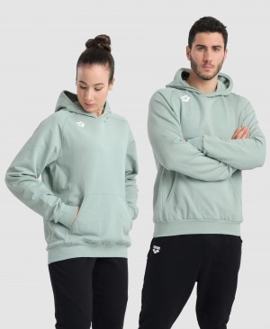 Grey Arena Team Hooded Panel Men's Sweatshirts | 4975647