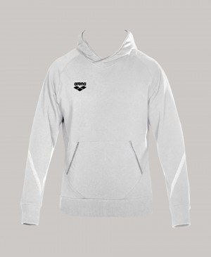 Grey Arena Team Line Hoody Men's Sweatshirts | 37743109