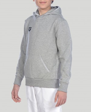 Grey Arena Team Line L/S Boys' Hoodie | 98780939