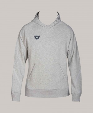 Grey Arena Team Line Women's Hoodie | 20753526