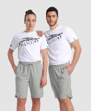 Grey Arena Team Men's Shorts | 25680597