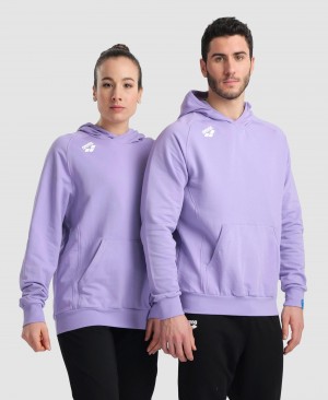 Lavender Arena Team Hooded Panel Men's Sweatshirts | 75697570