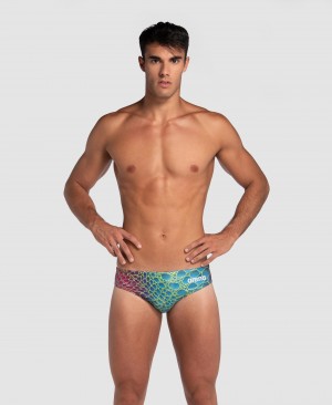 Multicolor Arena Caimano Limited Edition Men's Briefs | 25452444