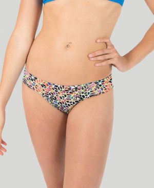 Multicolor Arena Desire Women's Bikini Bottoms | 48988548