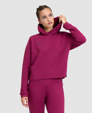 Purple Arena Hooded Fleece Women's Sweatshirts | 9899264