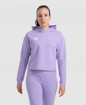 Purple Arena Hooded Fleece Women's Sweatshirts | 63556811