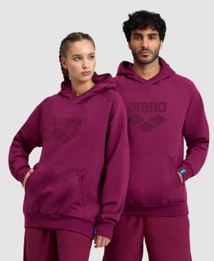 Purple Arena Logo Hooded Men's Sweatshirts | 47475879