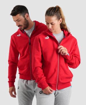 Red Arena Team Hooded Panel Men's Jackets | 48795243