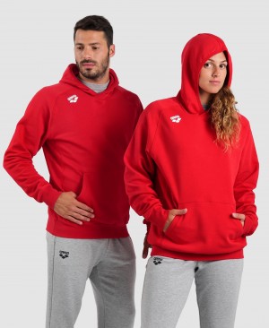 Red Arena Team Hooded Panel Men's Sweatshirts | 32170008