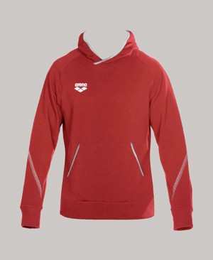 Red Arena Team Line Hoody Men's Sweatshirts | 77720037