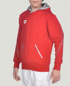 Red Arena Team Line L/S Boys' Hoodie | 60777347