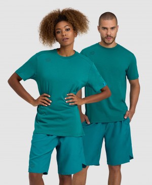 Turquoise Arena Team Panel Men's T Shirts | 61822224