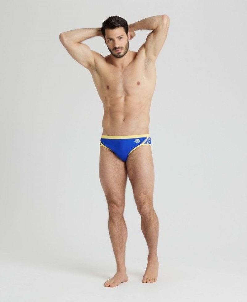 Blue Arena Icons Men's Briefs | 33607088