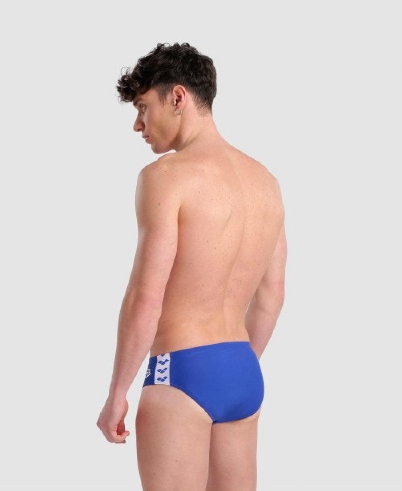 Blue Arena Icons Solid Men's Briefs | 8379385