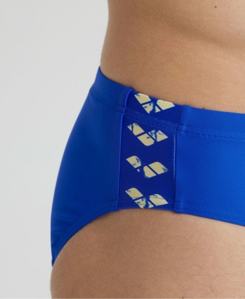 Blue Arena Icons Solid Men's Briefs | 8379385