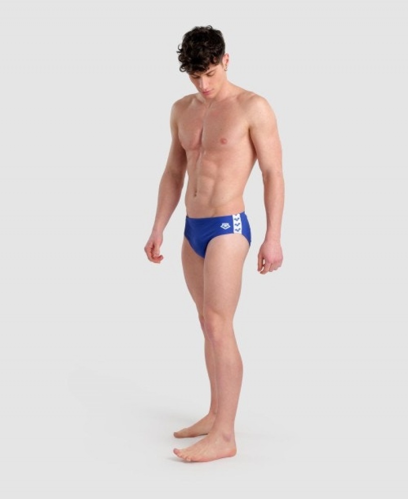 Blue Arena Icons Solid Men's Briefs | 8379385