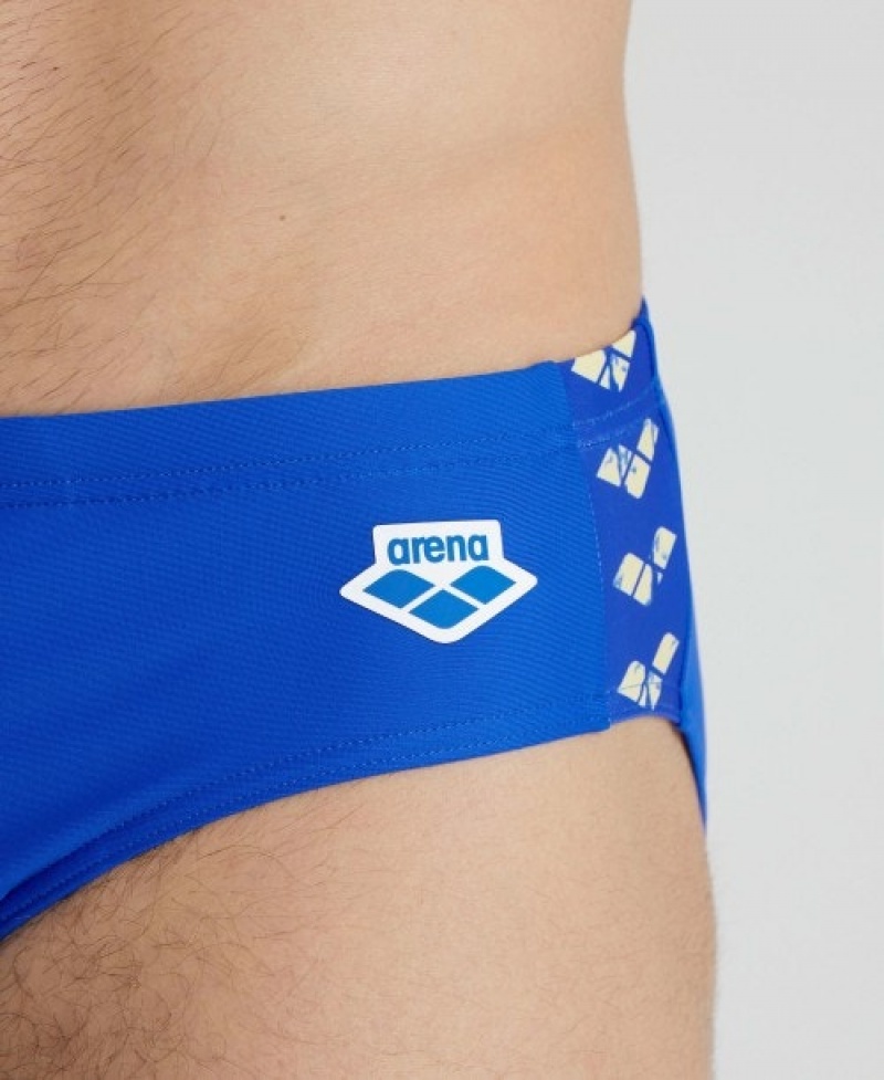 Blue Arena Icons Solid Men's Briefs | 8379385