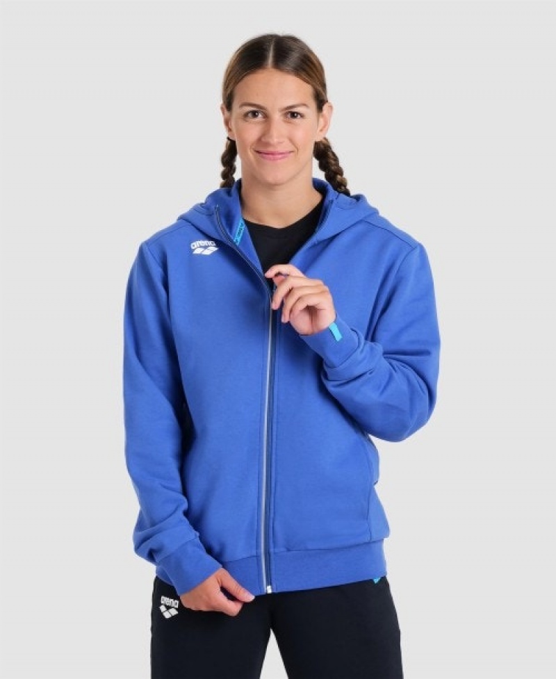 Blue Arena Team Hooded Panel Men's Jackets | 84169869