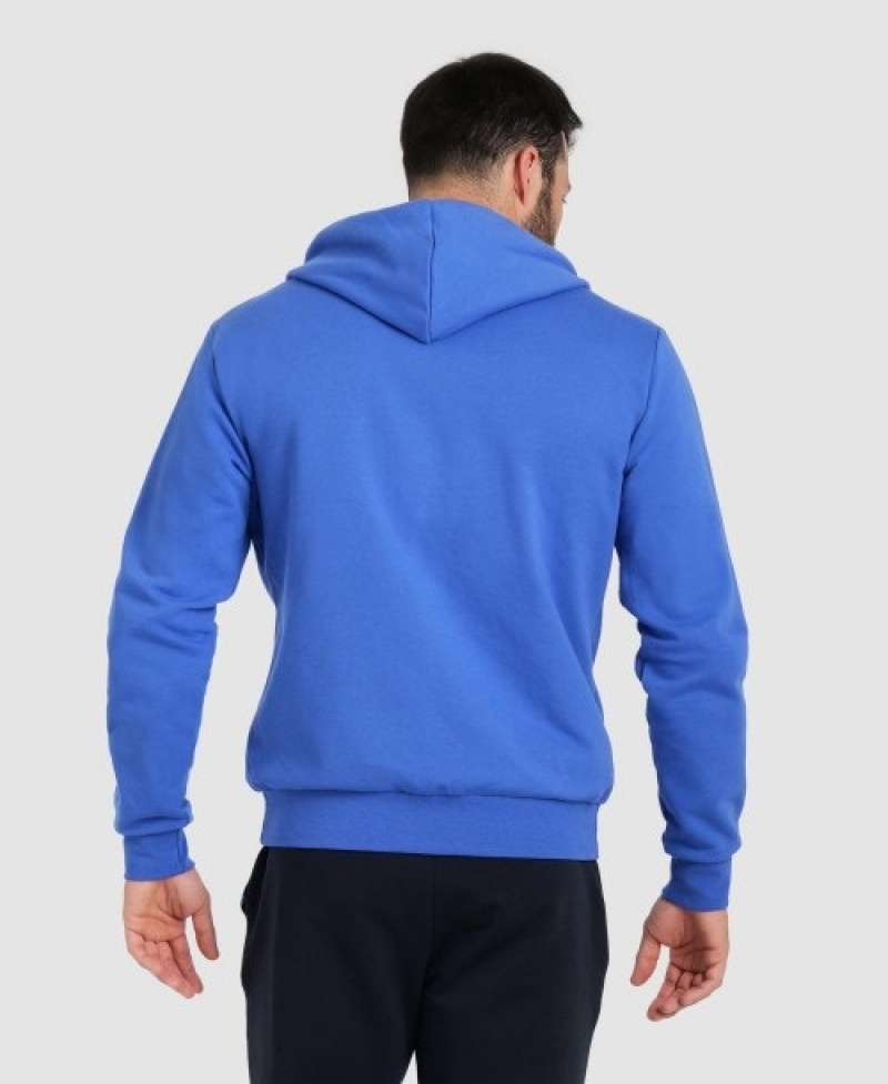 Blue Arena Team Hooded Panel Men's Jackets | 84169869