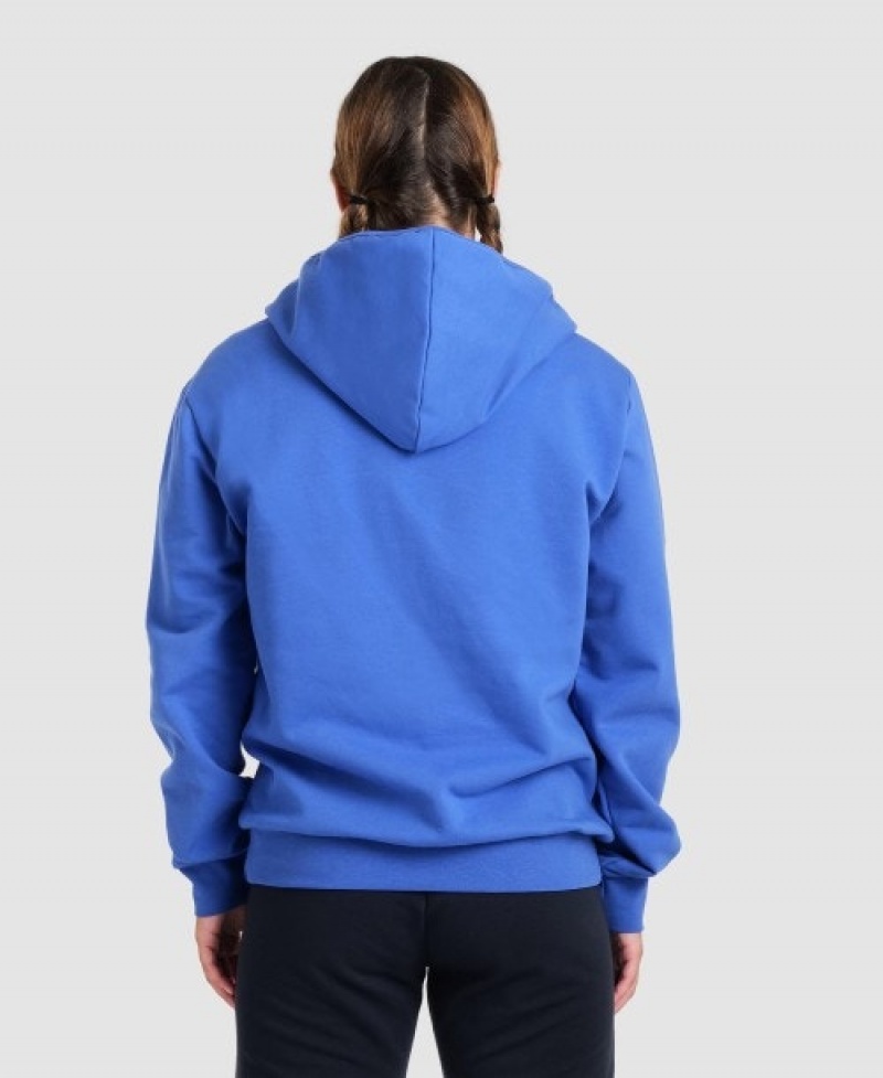 Blue Arena Team Hooded Panel Men's Jackets | 84169869