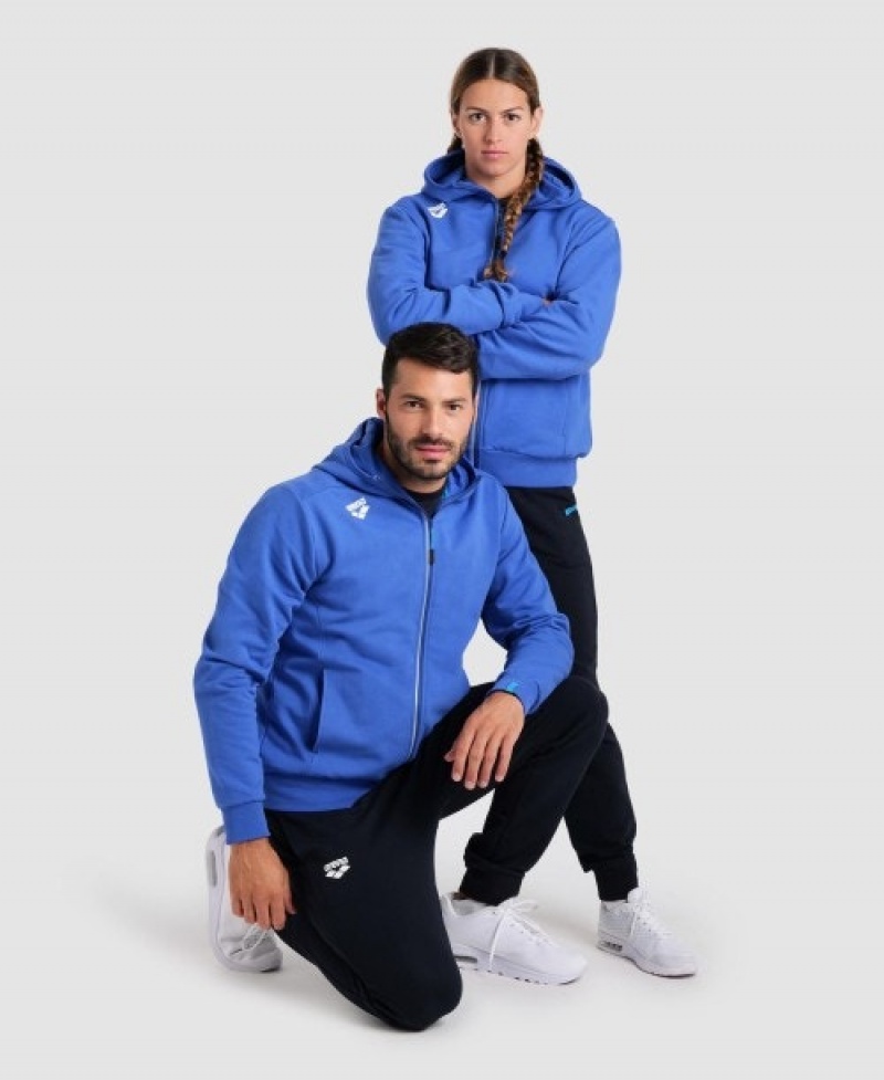 Blue Arena Team Hooded Panel Men's Jackets | 84169869