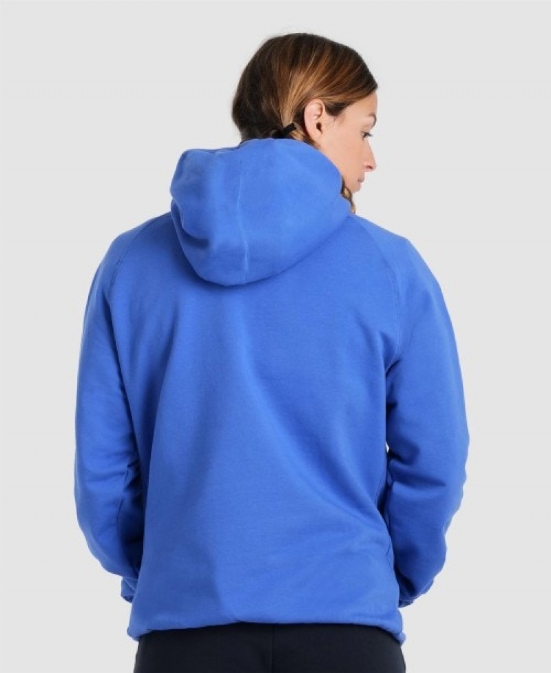 Blue Arena Team Hooded Panel Men's Sweatshirts | 58804327