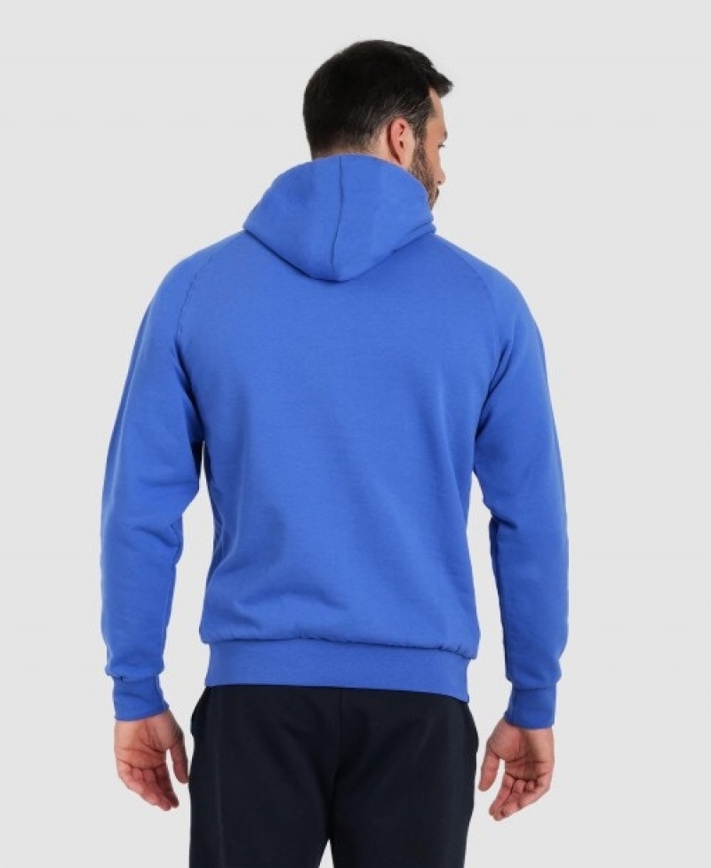 Blue Arena Team Hooded Panel Men's Sweatshirts | 58804327