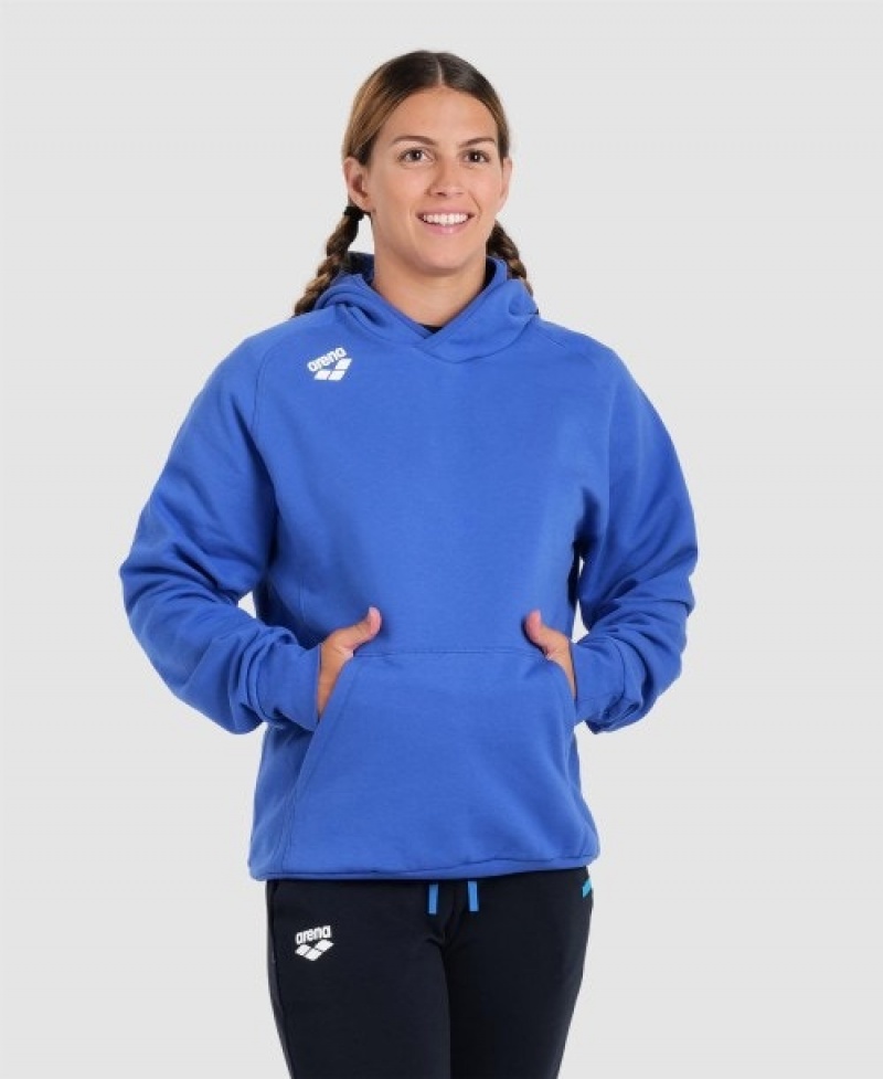 Blue Arena Team Hooded Panel Men's Sweatshirts | 58804327