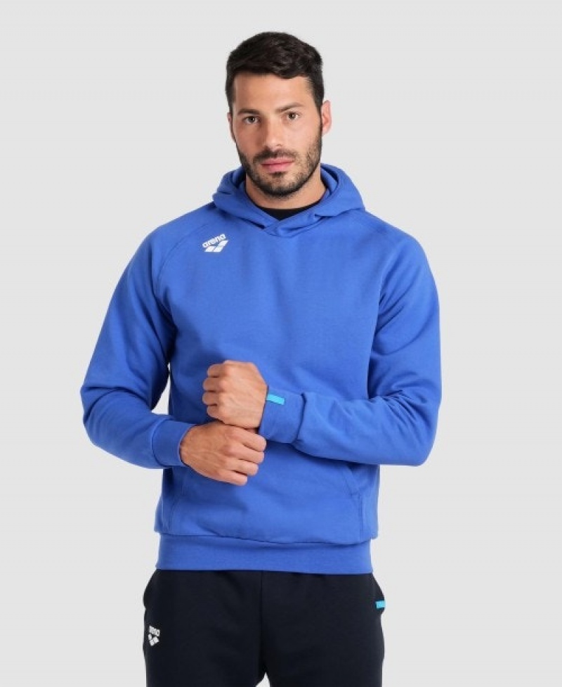 Blue Arena Team Hooded Panel Men's Sweatshirts | 58804327