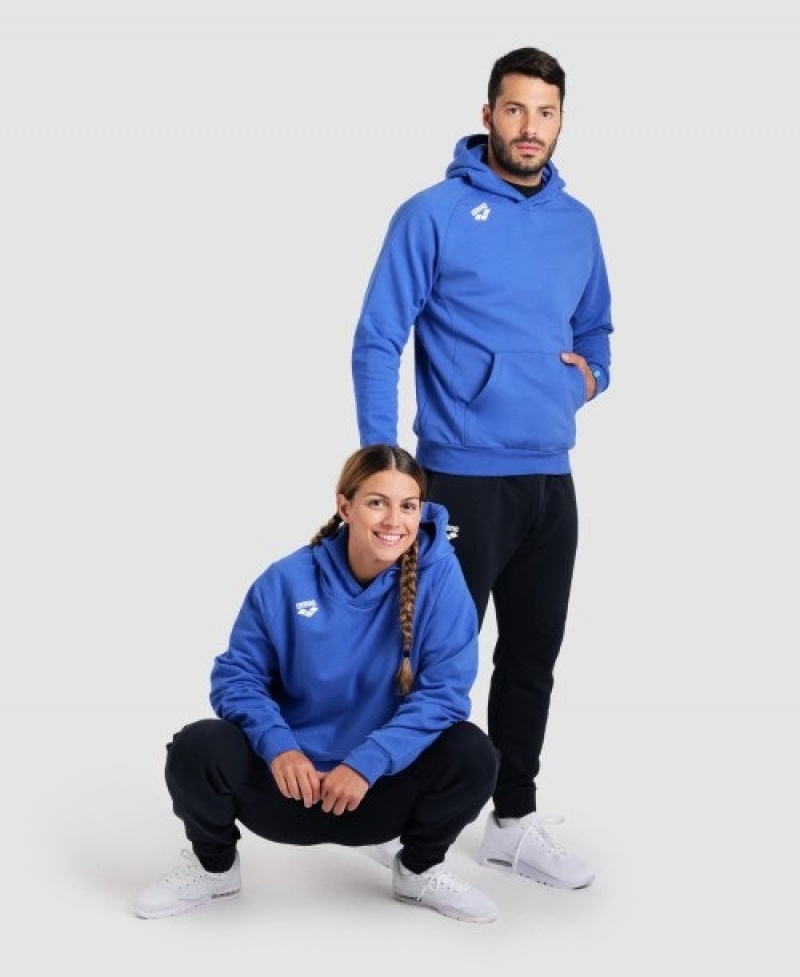 Blue Arena Team Hooded Panel Men's Sweatshirts | 58804327