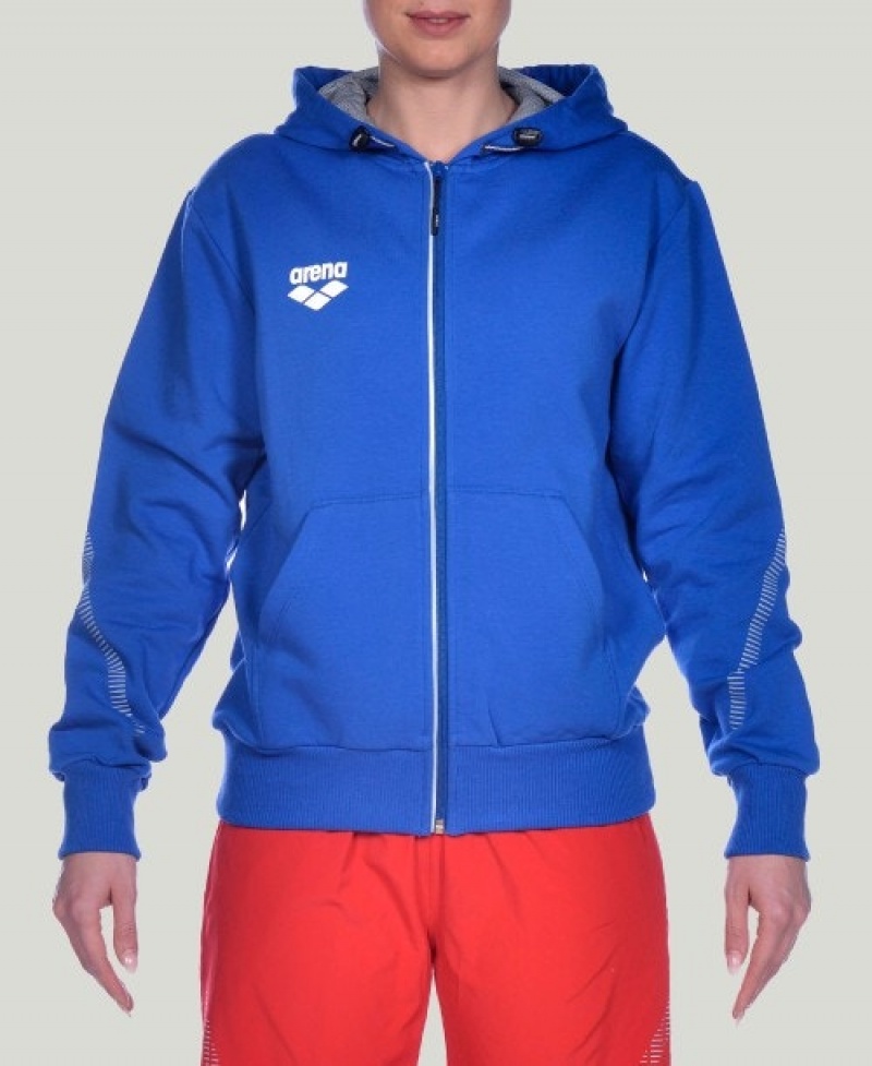 Blue Arena Team Line Hooded Men's Jackets | 92459183