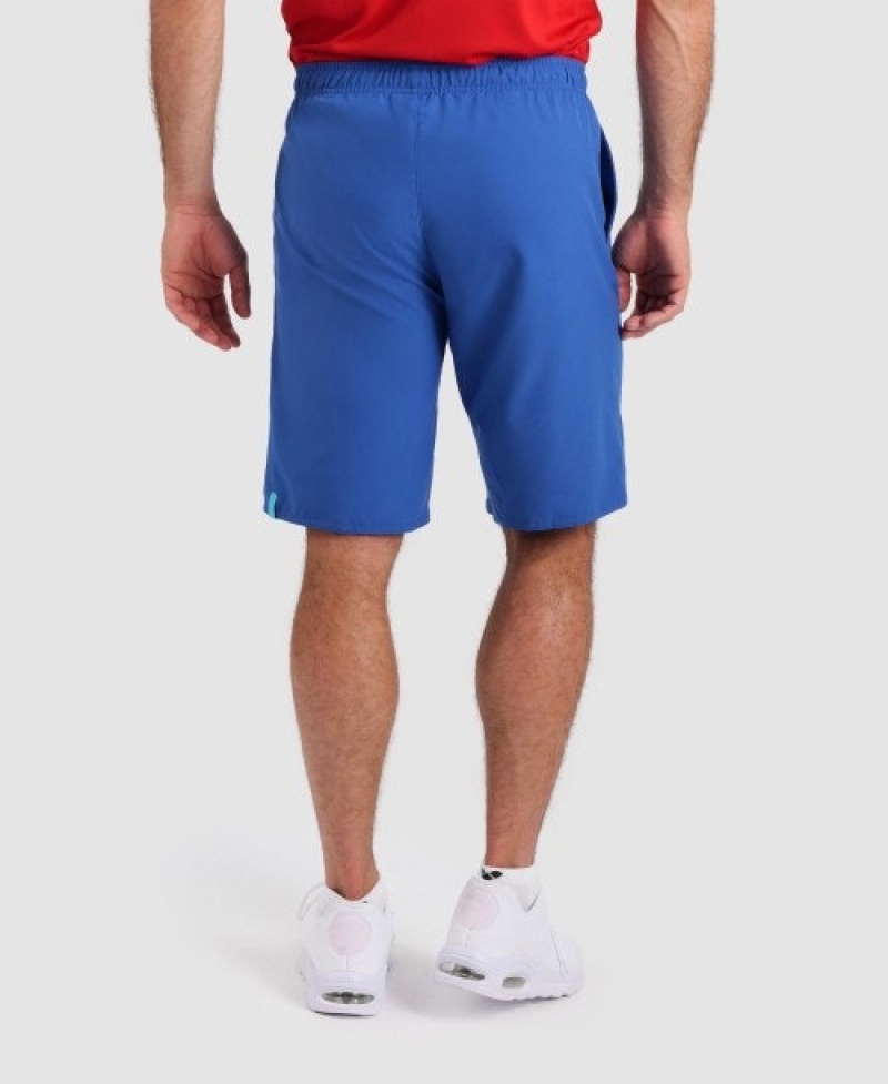 Blue Arena Team Men's Shorts | 94033256