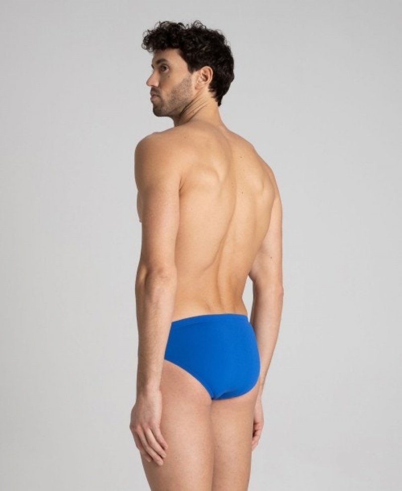 Blue Arena Team Painted Stripes Men's Briefs | 12406022