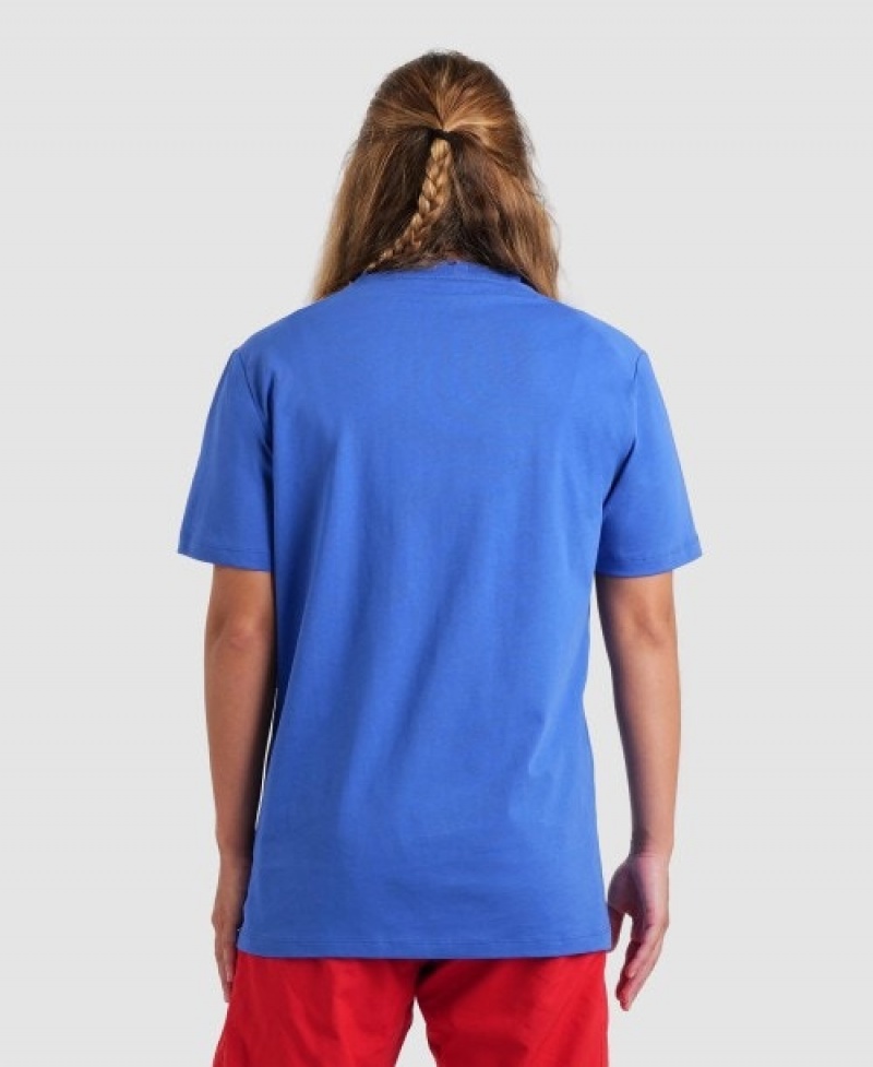 Blue Arena Team Panel Men's T Shirts | 63137390