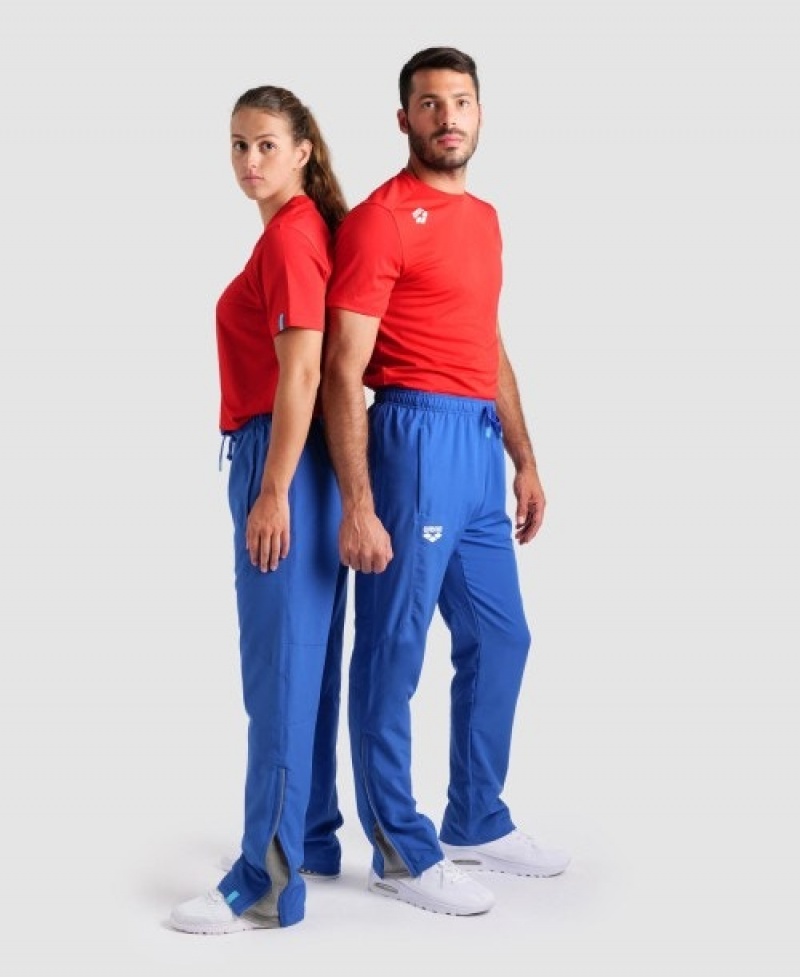 Blue Arena Team Sports Panel Men's Pants | 55452931