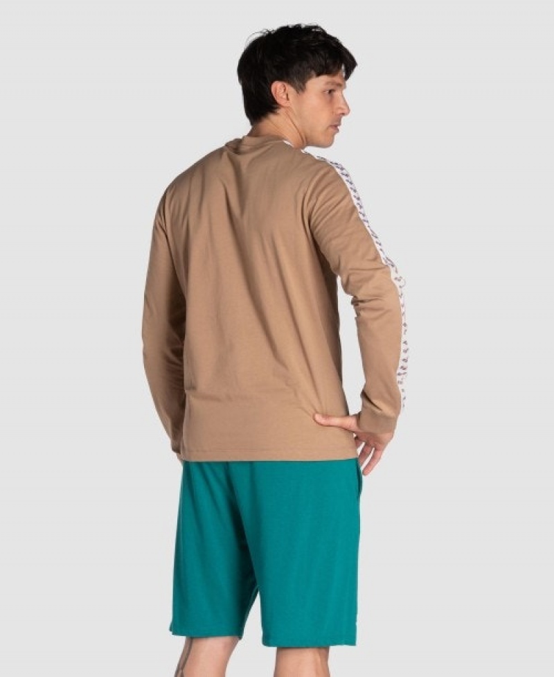 Brown Arena Icons Men's Long Sleeve Shirts | 83756423