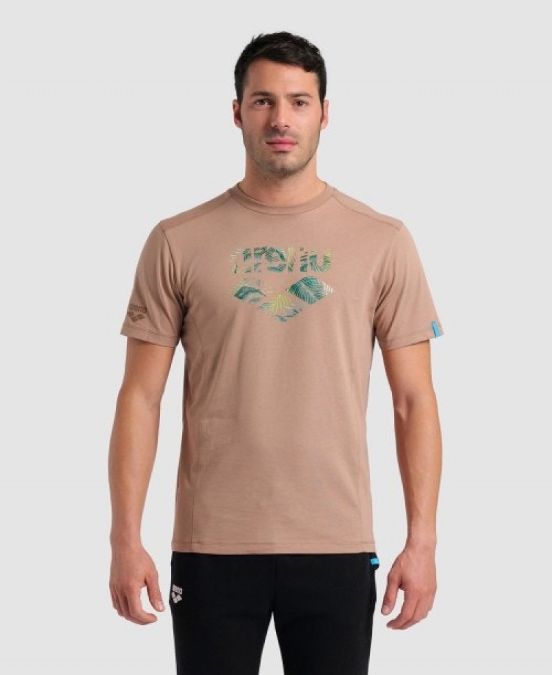 Brown Arena Logo Cotton Men's T Shirts | 95353281