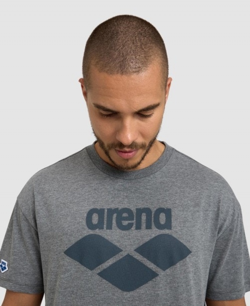 Grey Arena Icons Men's T Shirts | 17292358