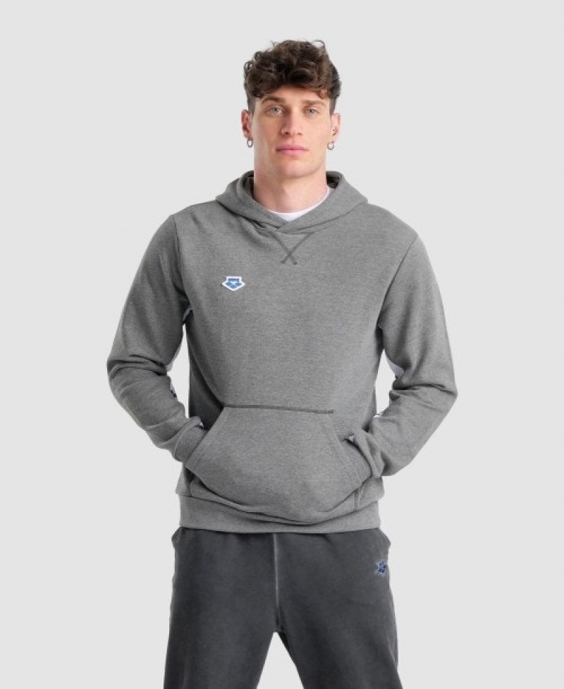 Grey Arena Icons Solid Hooded Men's Sweatshirts | 26554260