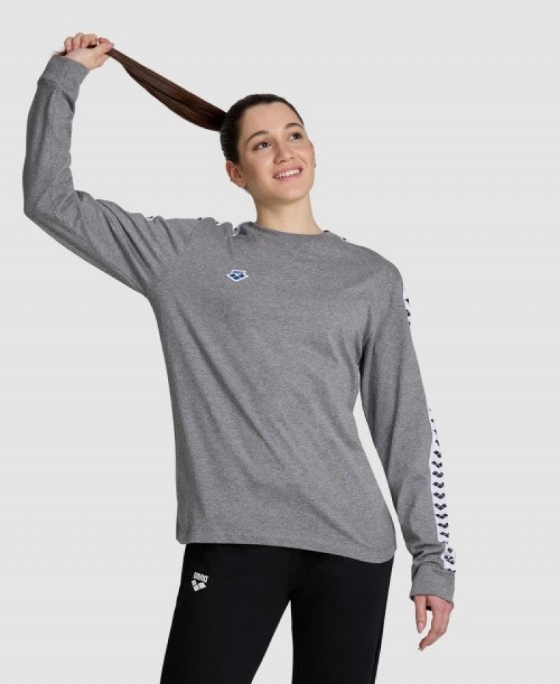 Grey Arena Icons Women's Long Sleeve Shirts | 43304316