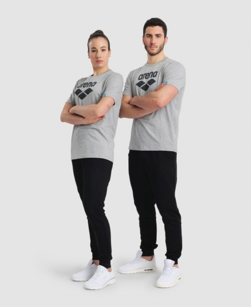 Grey Arena Logo Cotton Men's T Shirts | 45785176